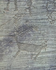 Petroglyphen im Camonica-Tal