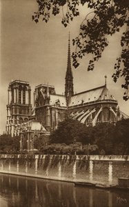 Paris: Kathedrale Notre-Dame (s/w Foto)