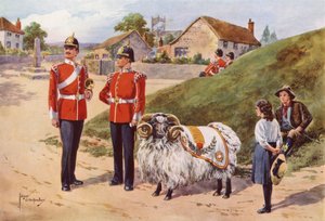 Derby Tom, der Haustier-Widder der Sherwood Foresters