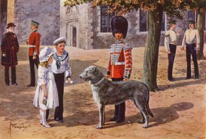 Der Haustier-Wolfshund der Irish Guards im Tower of London