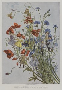 Belebte Blumen: Kornblumen und Mohnblumen