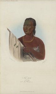 Nah-pope, Die Suppe, ein Sac-Krieger (Aquatinta) von after George Catlin