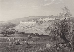 Die Stadt Jerusalem von after Harry Fenn