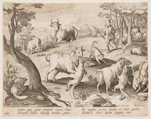 Bullen und Ziegen, die von Füchsen angegriffen werden von after Jan van der Straet, called Stradanus
