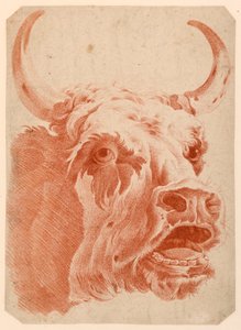 Kopf einer Kuh von after Jean Baptiste Huet