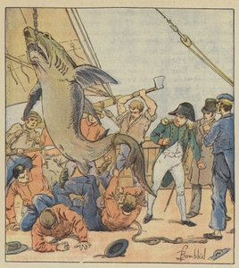 Fang eines Hais von after Louis Charles Bombled