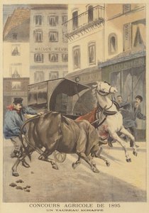 Landwirtschaftsausstellung von 1895. Ein entlaufener Stier