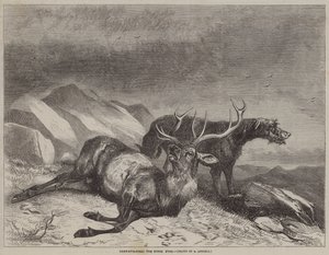 Hirschjagd, der sterbende Hirsch von after Richard Ansdell