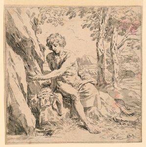 Heiliger Johannes in der Wildnis von after Simone Cantarini