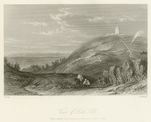 Blick auf Leith Hill