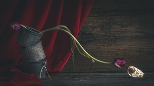 Dunkler floraler Schädel von alan shapiro