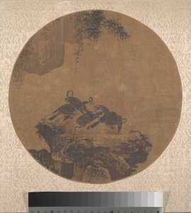 Kormorane auf Felsen von anonymous 