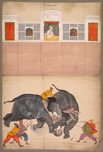 Zwei Elefanten kämpfen in einem Hof vor Muhammad Shah