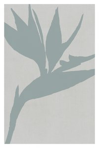 Paradiesvogel Silhouette