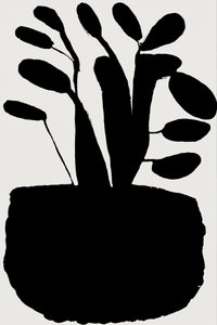 Schwarze botanische Silhouette von cartissi