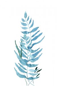 Blaue Aquarellfarn