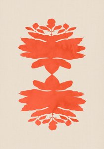 Korallen Botanische Symmetrie von cartissi