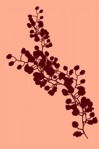 Elegante Blumensilhouette