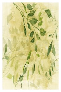 Grüne botanische Schichten von cartissi