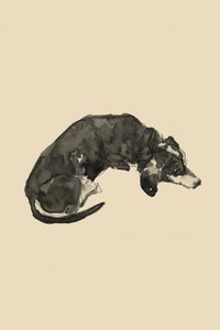 Entspannter Tintenhund von cartissi