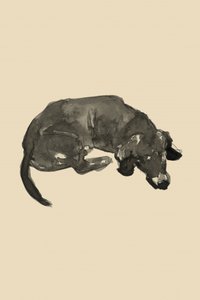 Schlafender schwarzer Hund von cartissi