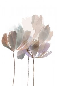 Weiche Aquarellblüten