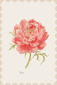 Vintage Rosa Pfingstrose von cartissi