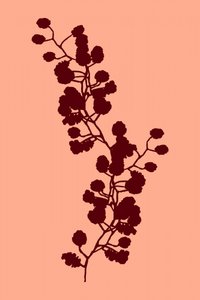 Warme botanische Silhouette von cartissi