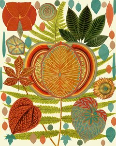 Lebendige botanische Formen von giovanna nicolo