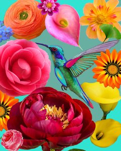 Lebendige Blumen Kolibri