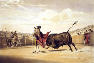 Stierangriff während der Matador das Cape spielt von lake Price