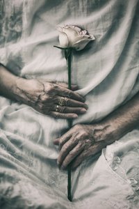 Zarte Hände halten Rose