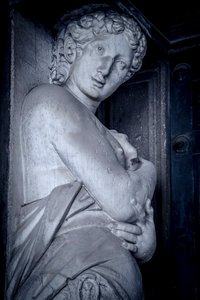 Biblioteca Marciana, Venedig, Italien (Foto)