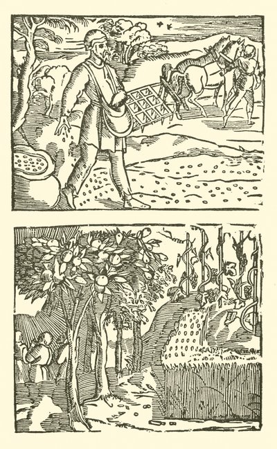 Illustration für The Roxburghe Ballads von (after) English School