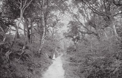 Fairlight Glen von (after) English photographer