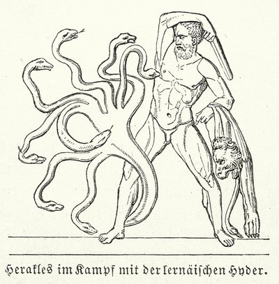 Herakles kämpft gegen die lernäische Hydra von (after) German School