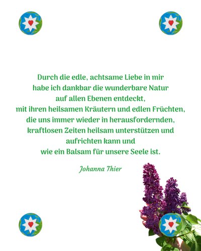  von Johanna Thier