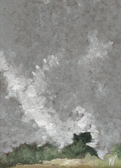 Hecke und Wolken von M. Vet