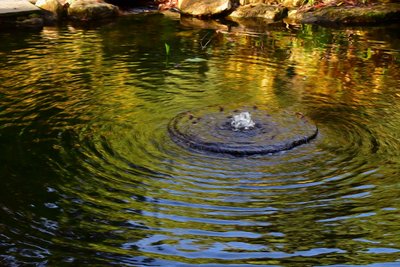 Wasserreflexion von Albert Mansour
