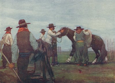 Gauchos brechen ein junges Pferd, 1916 von A. S. Forrest