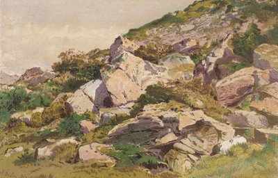 Studie von Steinen auf der Nordseite von Taliaris, nahe Llandeilo, Südwales von Aaron Edwin Penley