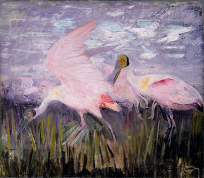Rosalöffler, Studie für das Buch Concealing Coloration in the Animal Kingdom, ca. 1905-1909 von Abbott Handerson Thayer
