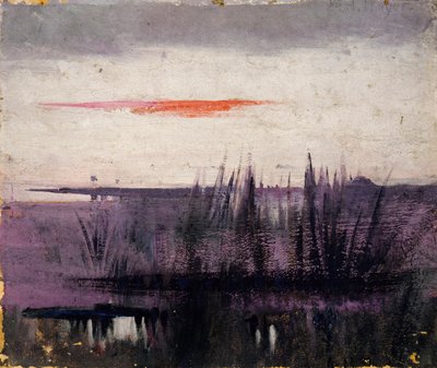 Der Himmel simuliert durch weiße Flamingos, Studie für ein Buch..., im Tierreich, ca. 1905-1909 von Abbott Handerson Thayer