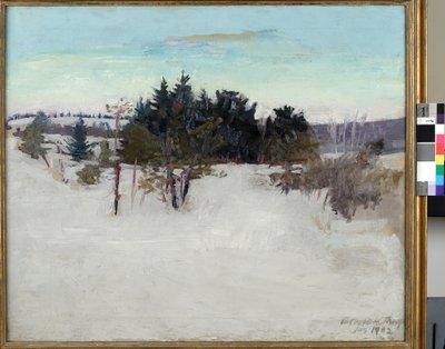 Winterlandschaft, 1902 von Abbott Handerson Thayer