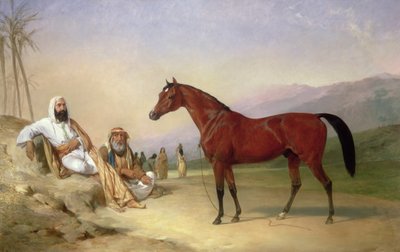 Zwei Beduinen mit einem Araberhengst in der Wüste von Abraham Cooper