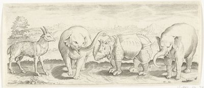 Gazelle, Elefant und Nashorn von Abraham de Bruyn (possibly)