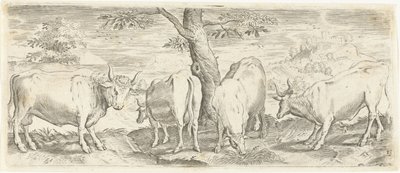 Kühe, ein Stier und ein Ochse von Abraham de Bruyn (possibly)