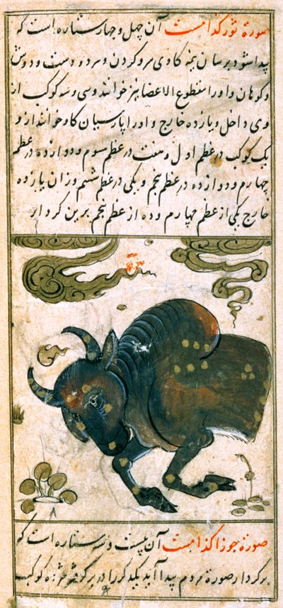 Sternbilder des Tierkreises: Stier, der Stier, aus Talim dar marifat i taqvuim, 1498 (903 Hijra) von Abu Jafar al Tabari