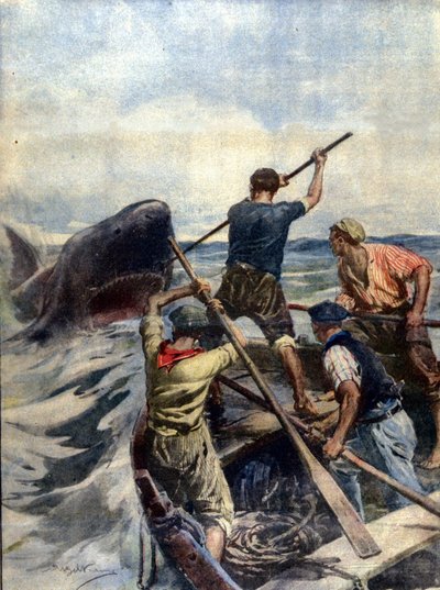 Eine Konfrontation zwischen sizilianischen Fischern und einem riesigen Tigerhai endete mit der Gefangennahme des Seeungeheuers, das 12 Zentner wog. Ill. von A. Beltrame. La Domenica del Corriere. 1908. von Achille Beltrame