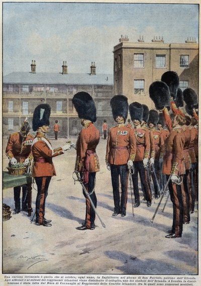 Verteilung von Klee für den heiligen Patrick (Schutzpatron von Irland) durch irische Regimenter, England - Zeichnung von A. Beltrame, in „La Domenica del Corriere“ von Achille Beltrame